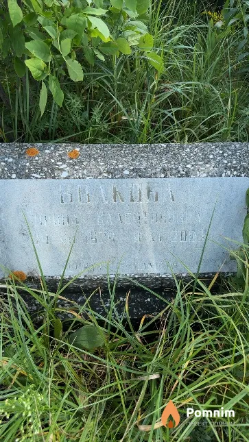 Волкова Ирина Валентиновна
