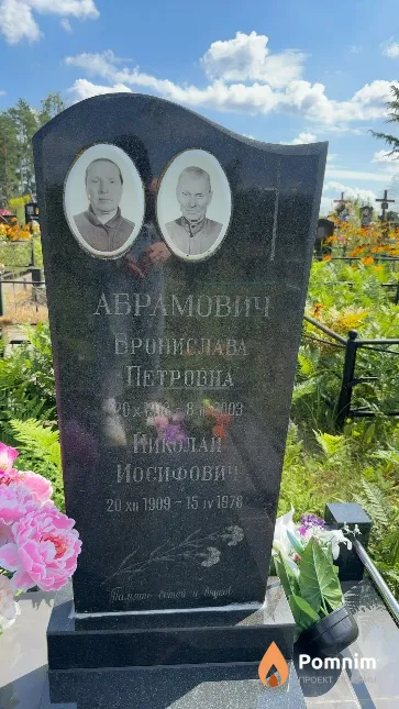 Абрамович Николай Иосифович
