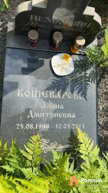 Кошеварова Алина Дмитриевна