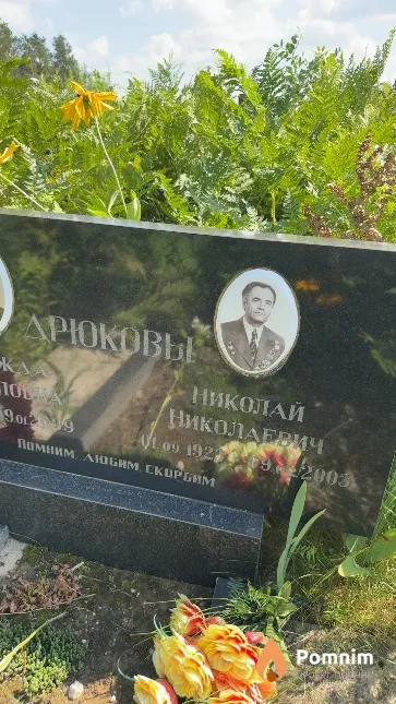 Дрюков Николай Николаевич