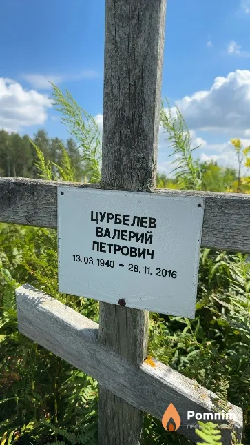 Цурбелев Валерий Петрович