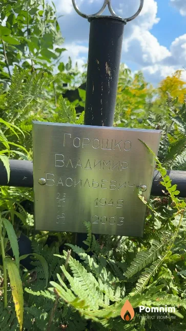 Горошко Владимир Васильевич