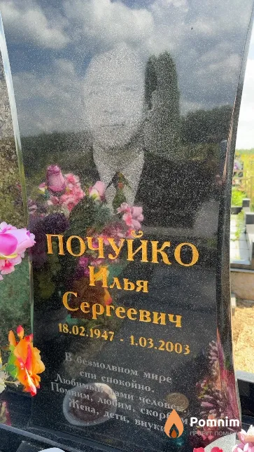 Почуйко Илья Сергеевич