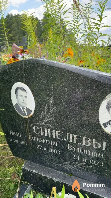 Синелев Иван Ефремович