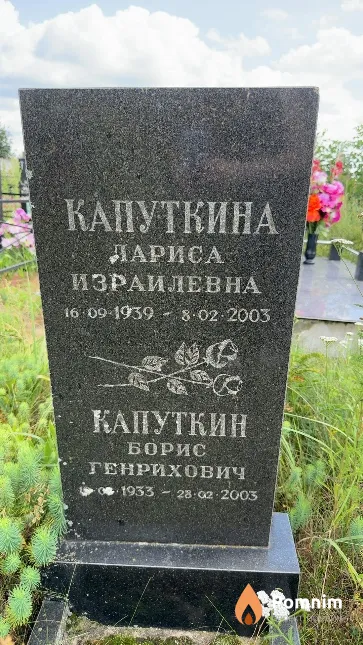 Капуткина Лариса Израилевна