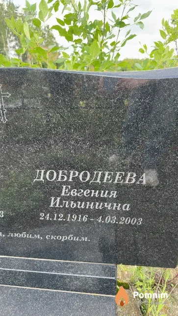 Добродеева Евгения Ильинична