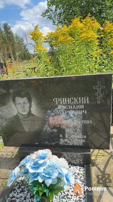 Финский Василий Маркович