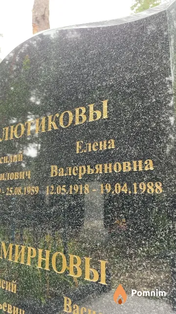 Лютикова Елена Валерьяновна