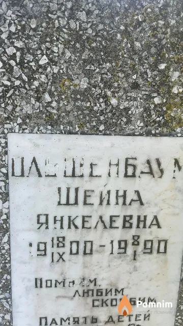 Ольгенбаум Шейна Янкелевна