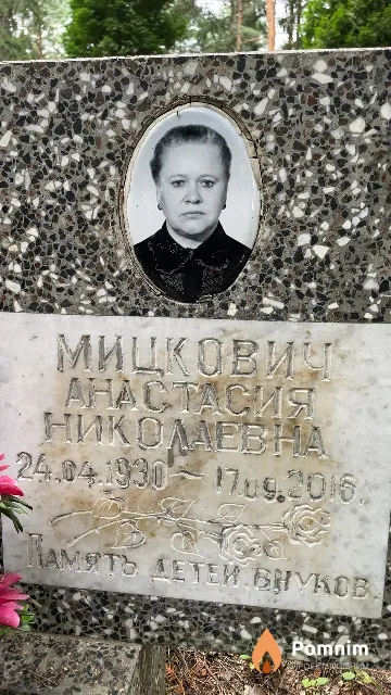Мицкович Анастасия Николаевна