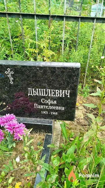 Дышлевич Софья Пантелеевна