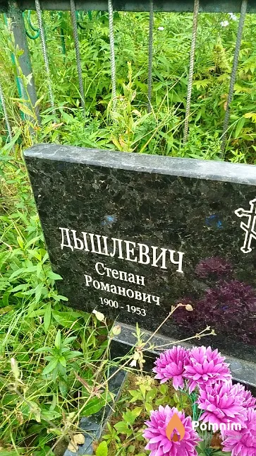 Дышлевич Степан Романович