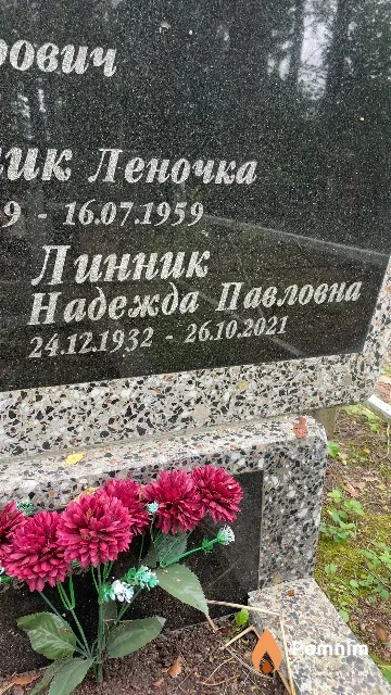 Линник Надежда Павловна