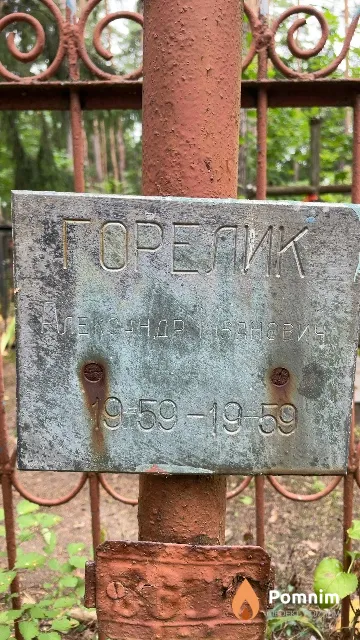 Горелик Александр Иванович