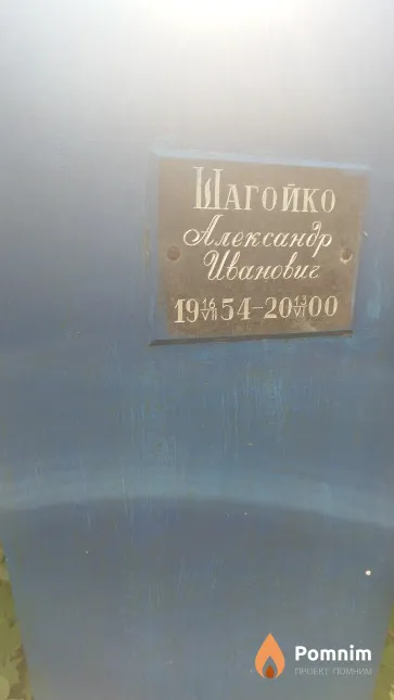 Шагойко Александр Иванович