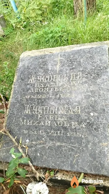 Жуковская Елена Михайловна