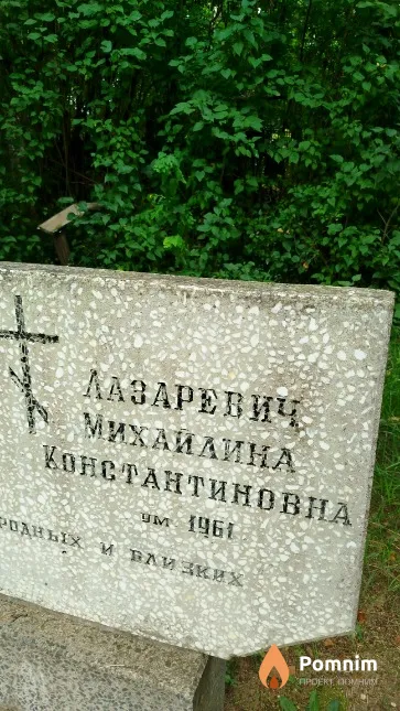 Лазаревич Михайлина Константиновна
