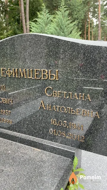 Ефимцева Светлана Анатольевна