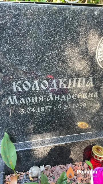 Колодкина Мария Андреевна