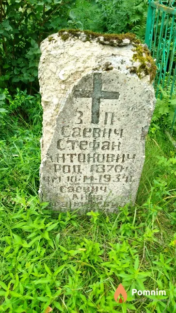 Саевич Анна Афанасьевна