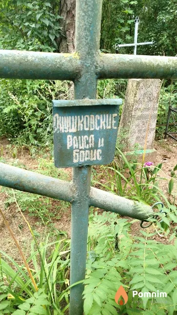 Анушковский Борис