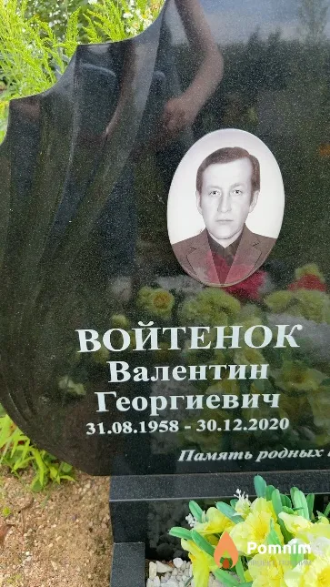 Войтенок Валентин Георгиевич
