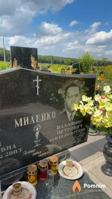 Милейко Владимир Петрович