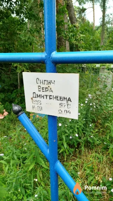 Силич Bepa Дмитриевна
