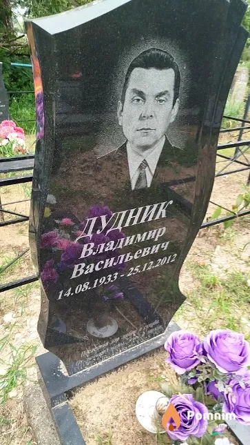 Дудник Владимир Васильевич