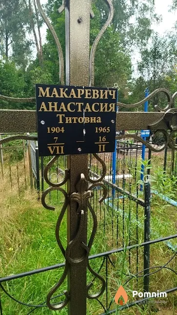 Макаревич Анастасия Титовна