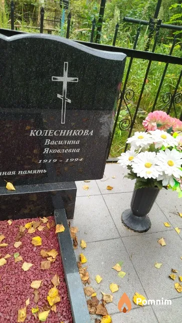 Колесникова Василина Яковлевна