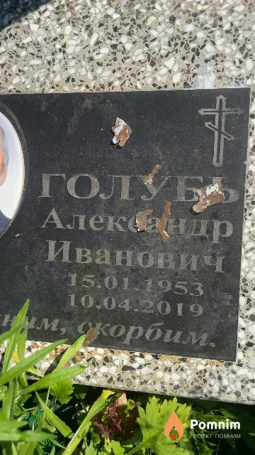 Голубь Александр Иванович