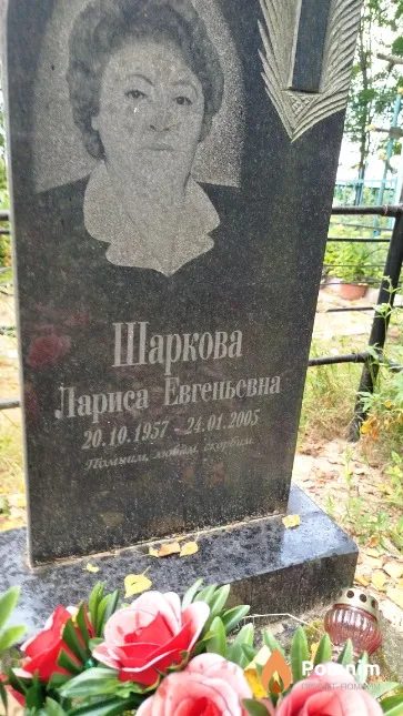 Шаркова Лариса Евгеньевна