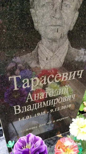 Тарасевич Анатолий Владимирович