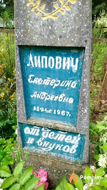 Липович Екатерина Андреевна