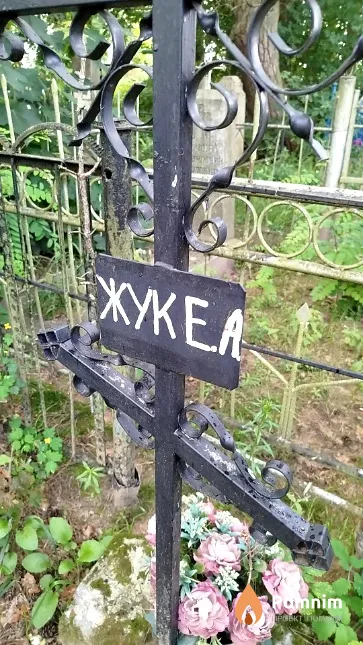 Жук Е. А.