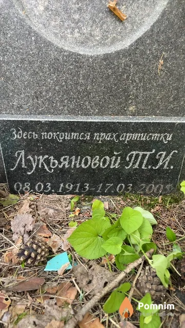 Лукьянова Т. И.