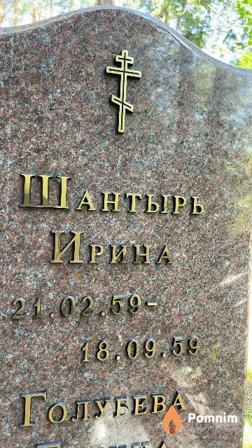 Шантырь Ирина