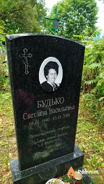 Будько Светлана Васильевна