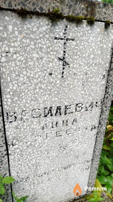 Bacилевич Анна Сергеевна