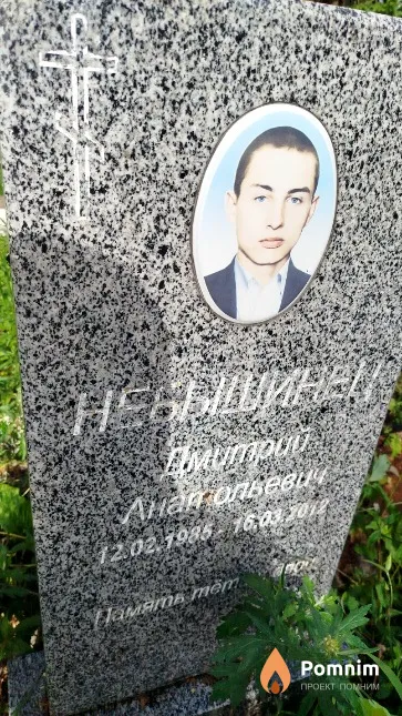 Небышинец Дмитрий Анатольевич