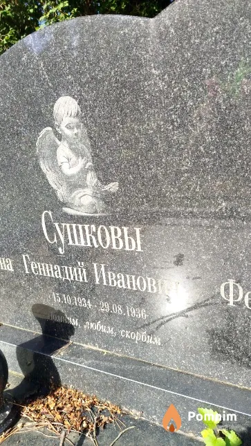 Сушков Геннадий Иванович