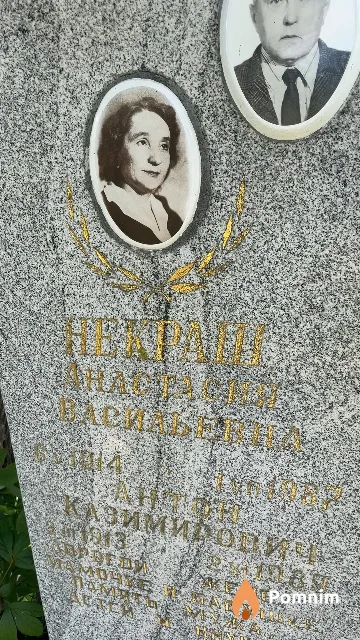 Некраш Анастасия Васильевна