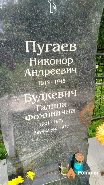 Будкевич Галина Фоминична