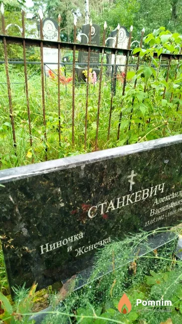 Станкевич Нина