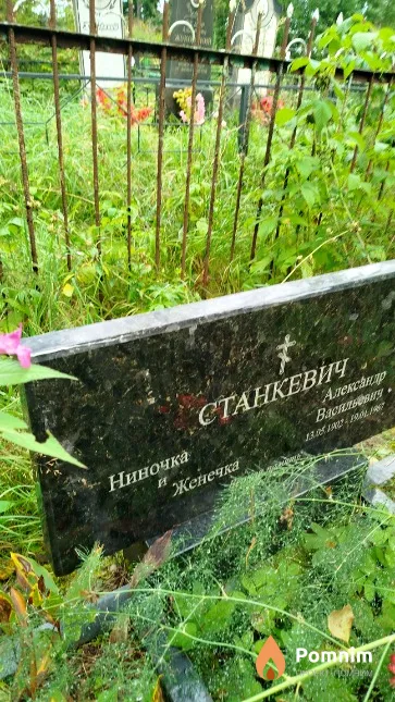 Станкевич Евгений
