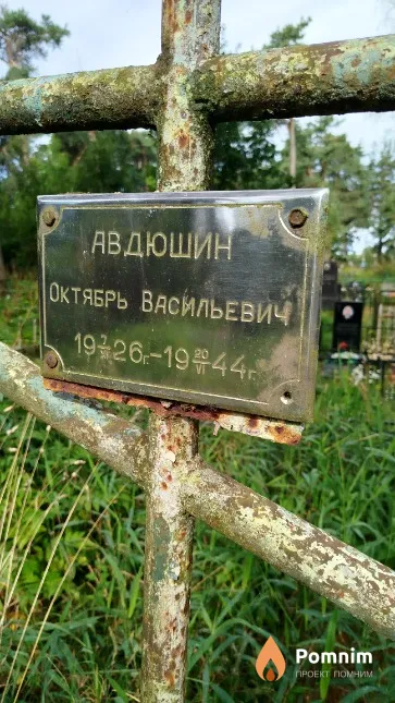 Авдюшин Октябрь Васильевич