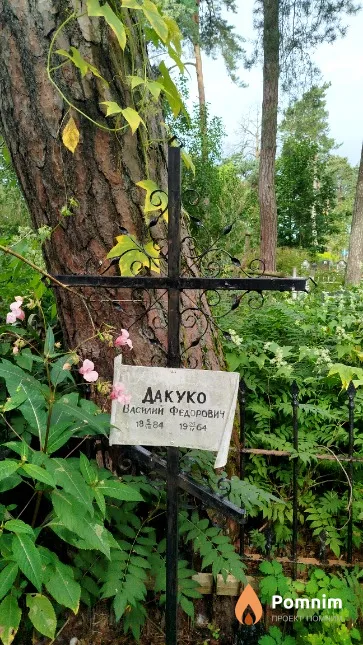 Дакуко Василий Фёдорович