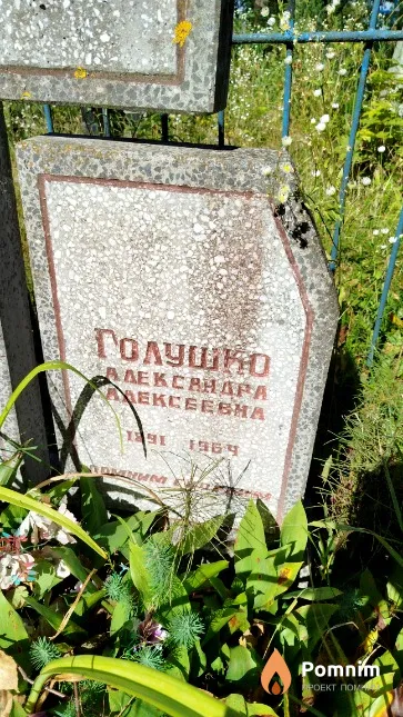 Голушко Александра Алексеевна