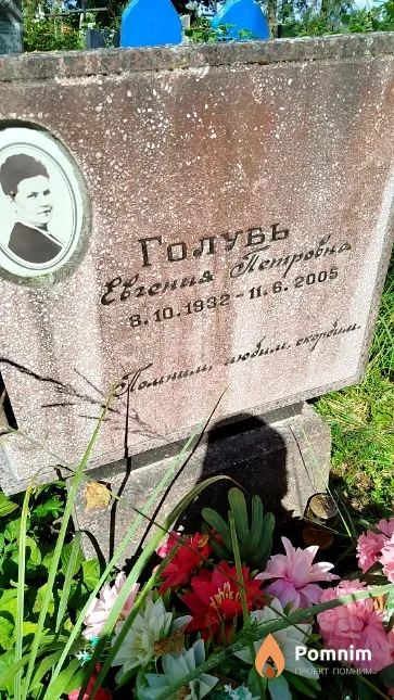Голубь Евгения Петровна